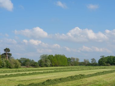 Alman Westphalia 'sında bahar geldi.