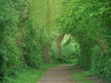 Alman Westphalia 'sında bahar geldi.