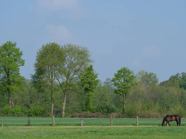 Frühling Nordrhein Westfalen — Stockfoto