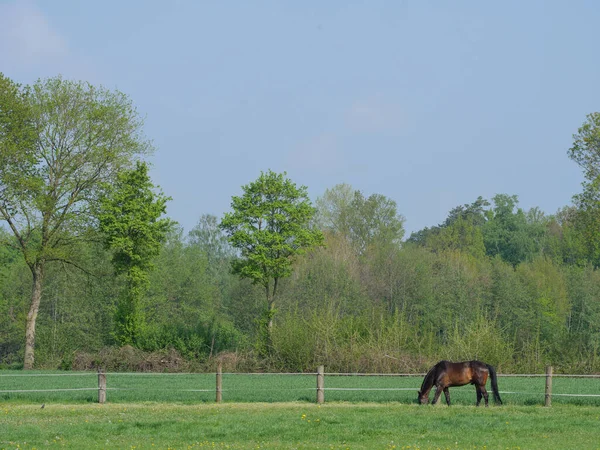 Frühling Nordrhein Westfalen — Stockfoto