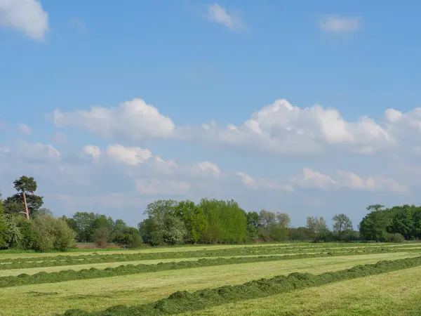 Tavasszal Német Westfalia — Stock Fotó