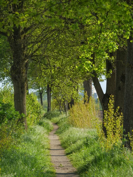 Lente Tijd Duitse Westfalen — Stockfoto