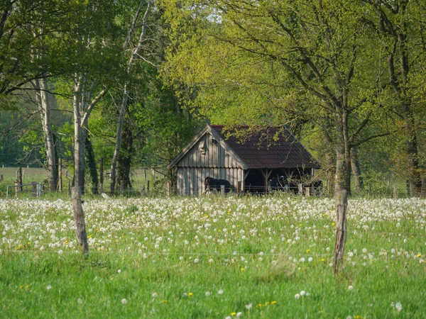 Frühling Nordrhein Westfalen — Stockfoto