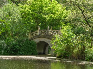 Hayvanat bahçesindeki vahşi hayvan