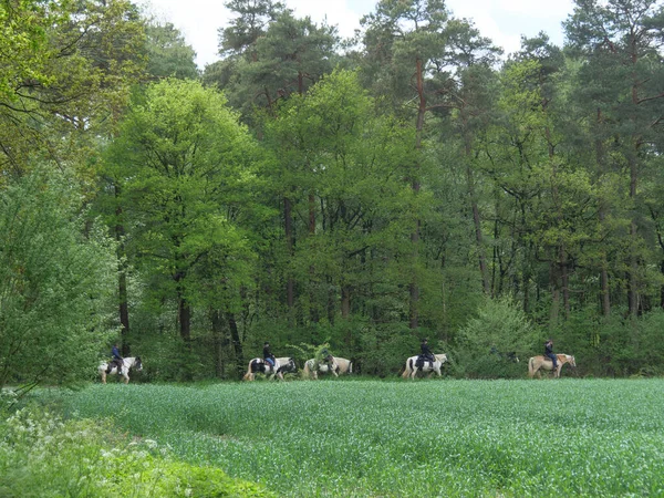 Primavera Muensterland Alemán — Foto de Stock