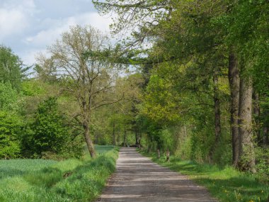 Alman Muensterland 'inde bahar geldi.