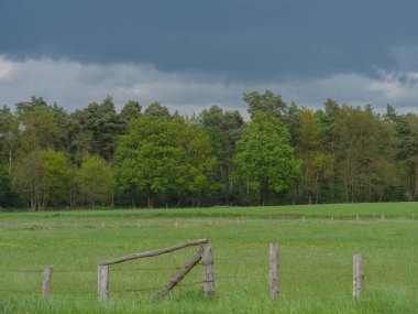 Alman Muensterland 'inde bahar geldi.