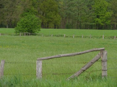 Alman Muensterland 'inde bahar geldi.