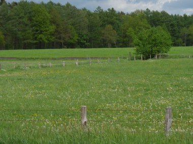 Alman Muensterland 'inde bahar geldi.