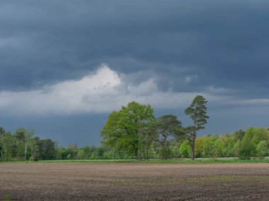 Alman Muensterland 'inde bahar geldi.