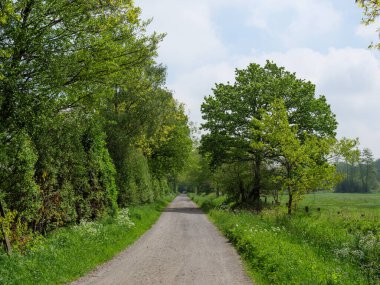 Alman Muensterland 'inde bahar geldi.
