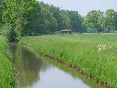 Alman Muensterland 'inde bahar geldi.