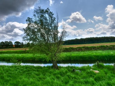 Alman Muensterland 'inde bahar geldi.