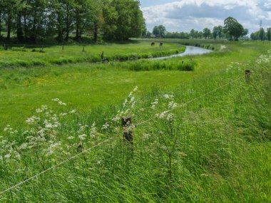 Alman Muensterland 'inde bahar geldi.