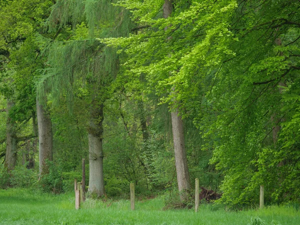 Άνοιξη Στο Γερμανικό Muensterland — Φωτογραφία Αρχείου