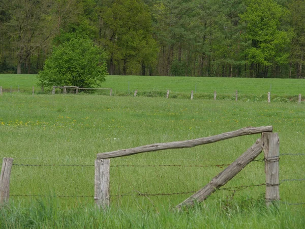 Printemps Dans Pays Des Muentins Allemand — Photo