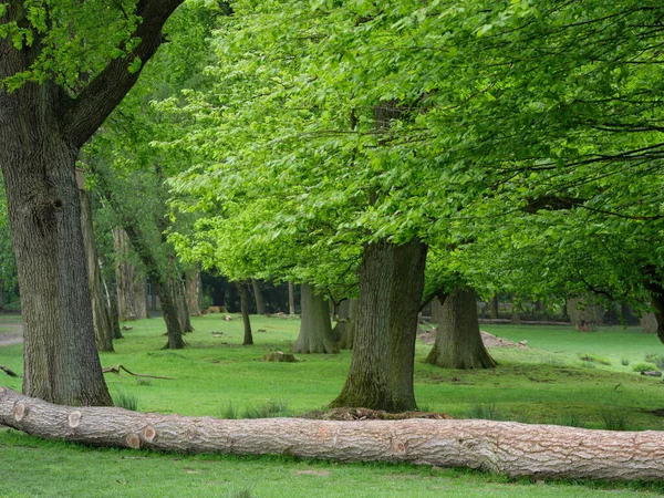 Άνοιξη Στο Γερμανικό Muensterland — Φωτογραφία Αρχείου