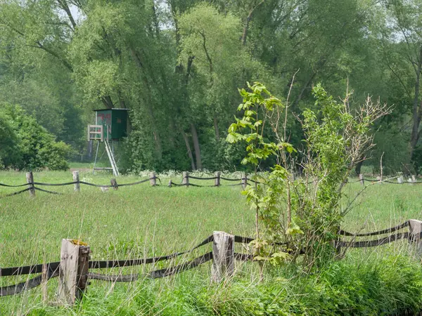 Printemps Dans Pays Des Muentins Allemand — Photo