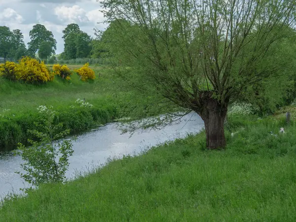 Vårtid Det Tyska Muensterland — Stockfoto