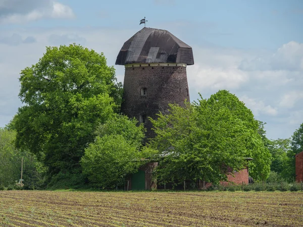 Alman Muensterland Inde Bahar Geldi — Stok fotoğraf