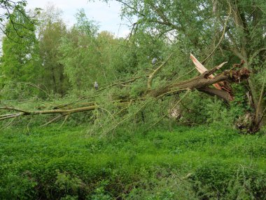 Ruhr aerea 'daki herten şehri. 