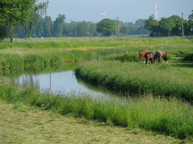 Almanya 'da bir nehir.