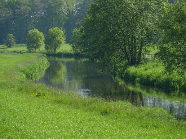 Issel Del Río Alemania — Foto de Stock