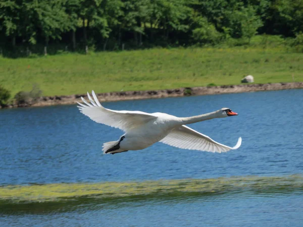 Wandern Der Ostsee Deutschland — Stockfoto