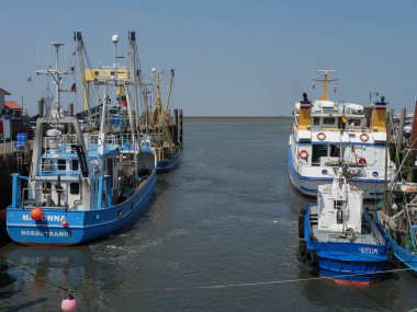 Hallig Hooge Alman Kuzey Denizi 'nde.