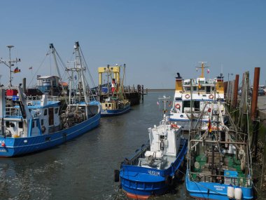 Hallig Hooge Alman Kuzey Denizi 'nde.