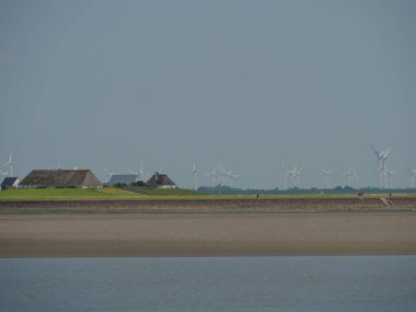 Hallig Hooge Alman Kuzey Denizi 'nde.