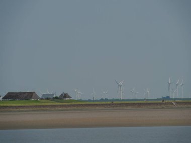 Hallig Hooge Alman Kuzey Denizi 'nde.