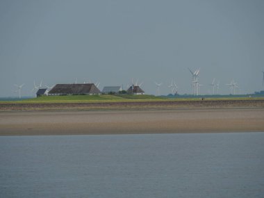 Hallig Hooge Alman Kuzey Denizi 'nde.