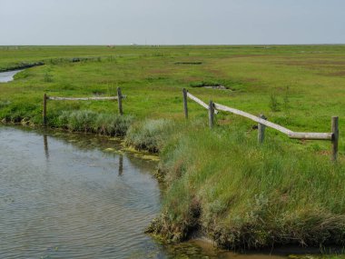 Hallig Hooge Alman Kuzey Denizi 'nde.
