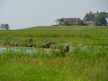 Hallig Hooge Alman Kuzey Denizi 'nde.