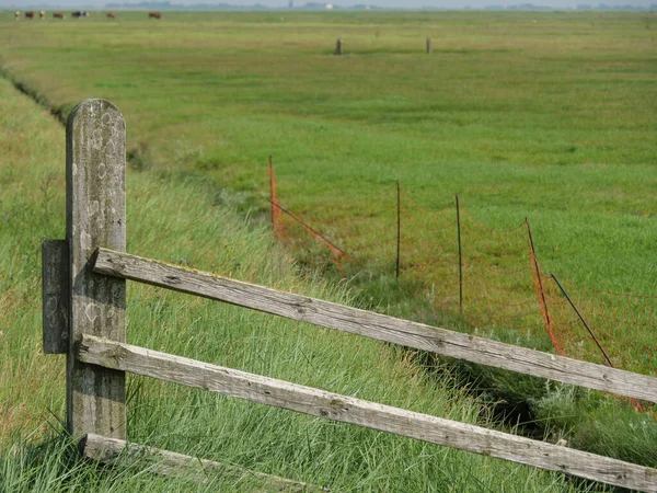 Hallig Hooge Iin Mar Del Norte Alemán — Foto de Stock