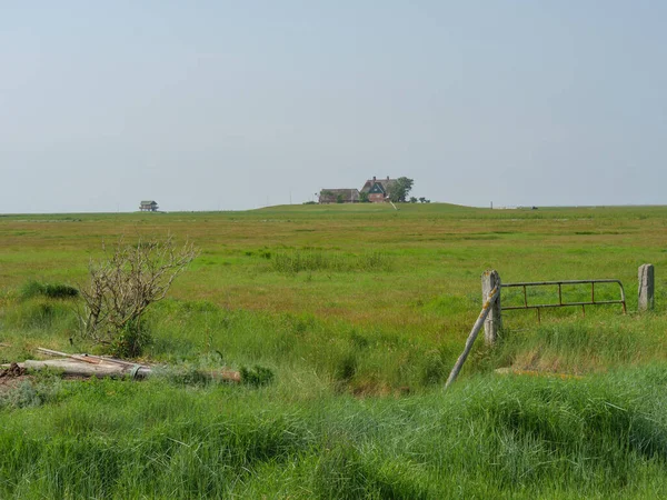 Hallig Hooge Iin Mar Del Norte Alemán — Foto de Stock