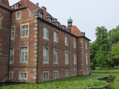 Westphalia 'da bir çayırda koyunlar ve inekler