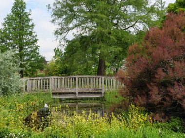 Westphalia 'da bir parkta yaz zamanı