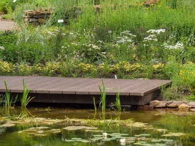 Westphalia 'da bir parkta yaz zamanı