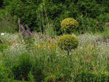 Westphalia 'da bir parkta yaz zamanı