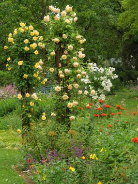 Westphalia 'da bir parkta yaz zamanı