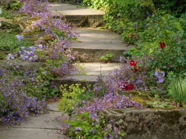 Westphalia 'da bir parkta yaz zamanı