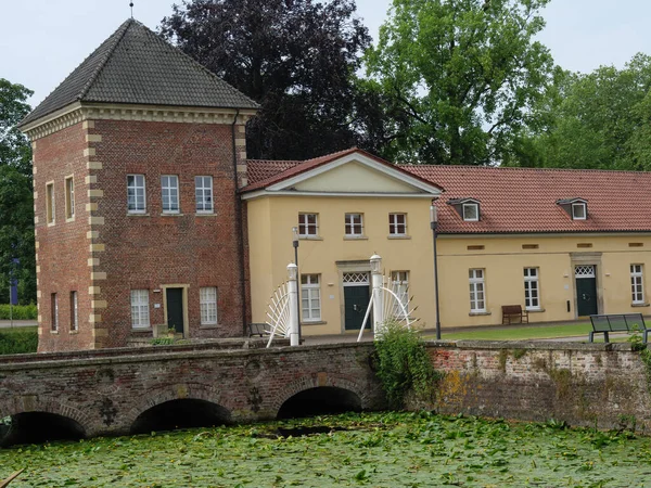 Schapen Koeien Een Weide Westfalen — Stockfoto