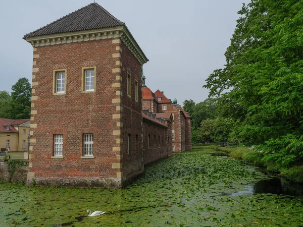 Schafe Und Kühe Auf Einer Weide Westfalen — Stockfoto