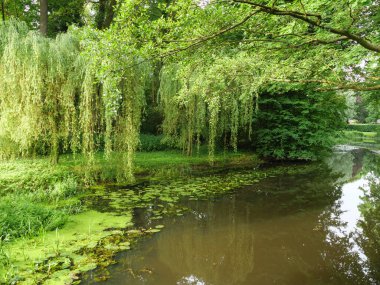 Westphalia 'da küçük bir nehir ve değirmen