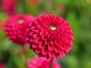 Westphalia 'da küçük bir şehir.