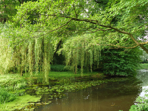 small river and mill in westphalia