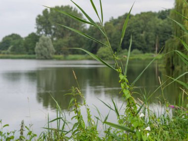 Westphalia 'da küçük bir göl