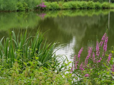 Westphalia 'da küçük bir göl
